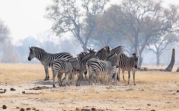 Hwange National Park