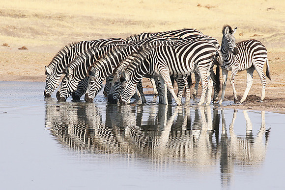 Hwange National Park