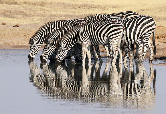 Hwange National Park