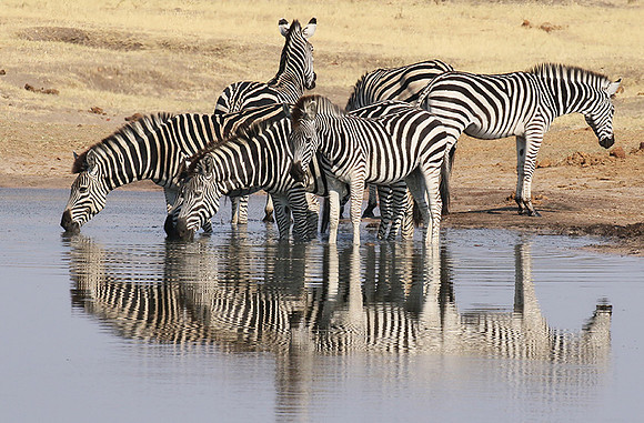 Hwange National Park