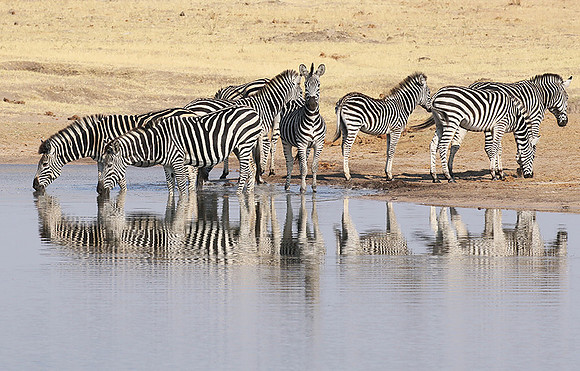 Hwange National Park