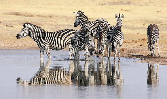 Hwange National Park