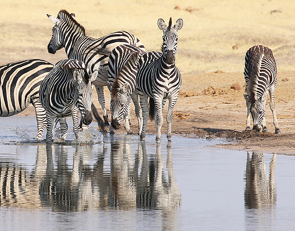 Hwange National Park