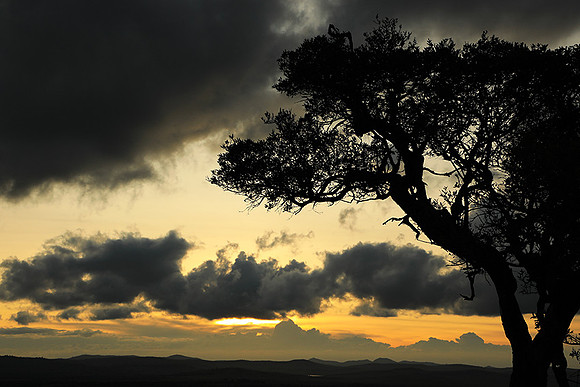 Sunset - Borana