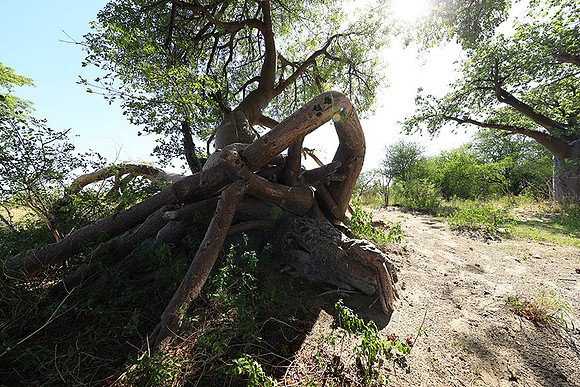 Botswana