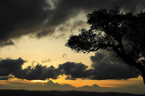 Sunset - Borana