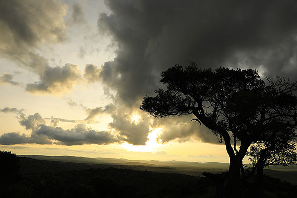 Sunset - Borana