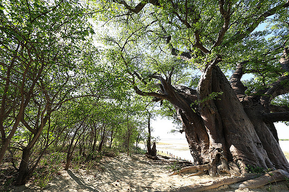 Botswana