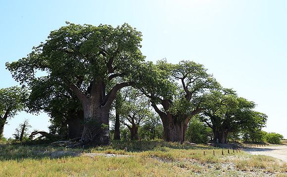Botswana