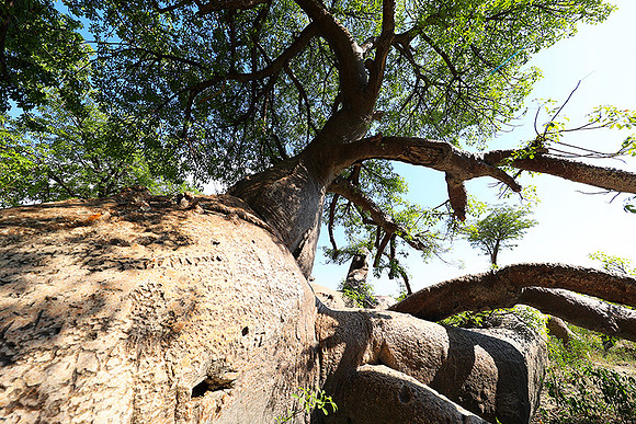 Botswana