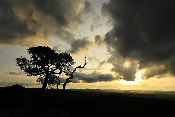 Sunset - Borana