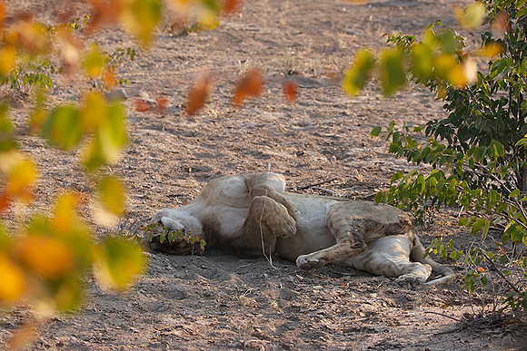 Ongava Private Reserve