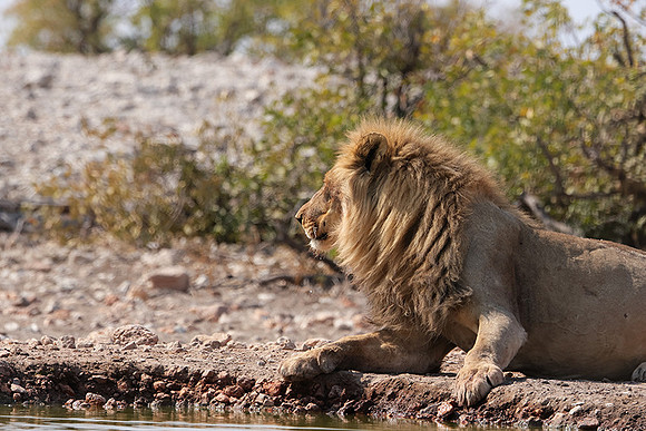 Ongava Private Reserve