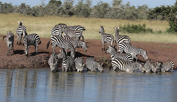 Serengeti - Grumeti Private Reserve