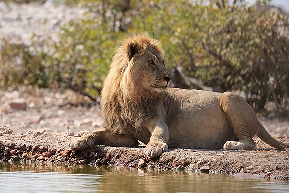 Ongava Private Reserve