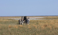 Nxai Pan