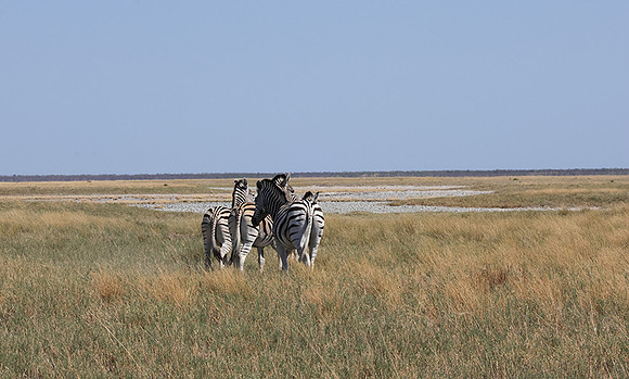 Nxai Pan
