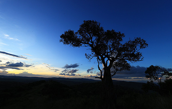 Sunset - Borana