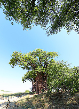 Botswana