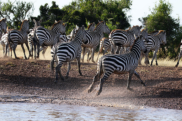 Serengeti - Grumeti Private Reserve