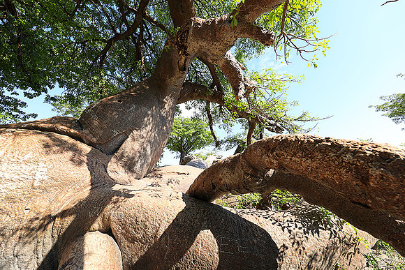 Botswana