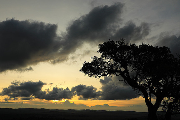 Sunset - Borana
