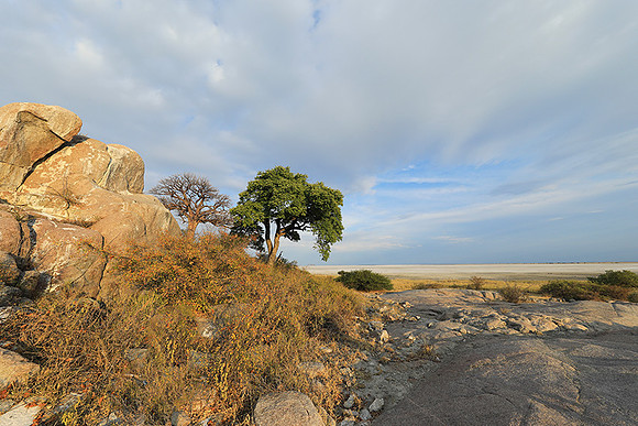 Kubu island - Makgadikgadi