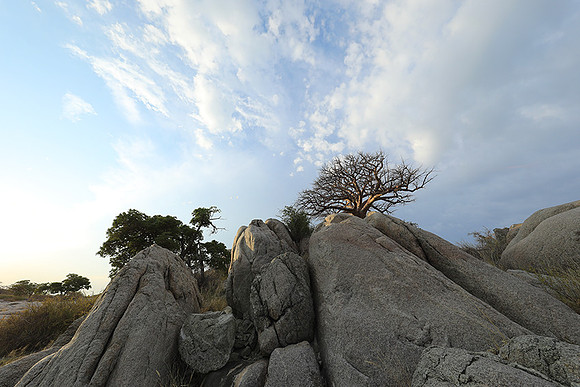 Kubu island - Makgadikgadi