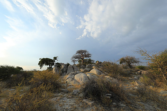 Kubu island - Makgadikgadi
