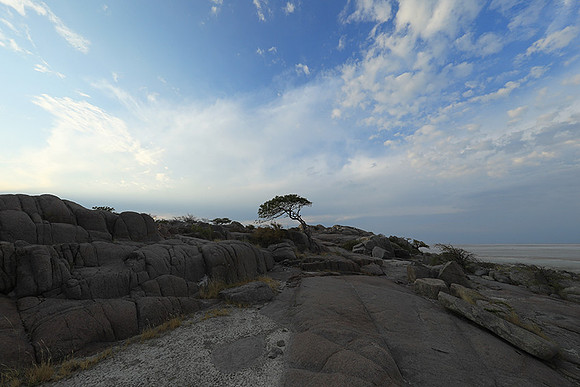 Kubu island - Makgadikgadi
