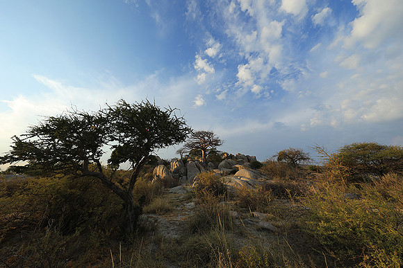 Kubu island - Makgadikgadi