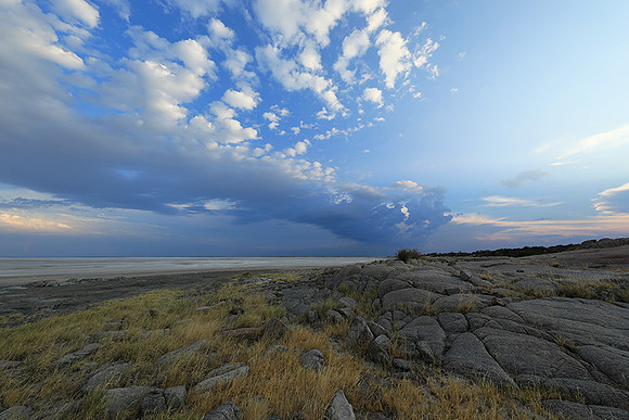 Kubu Island - Delta Okavango - Sua Pan