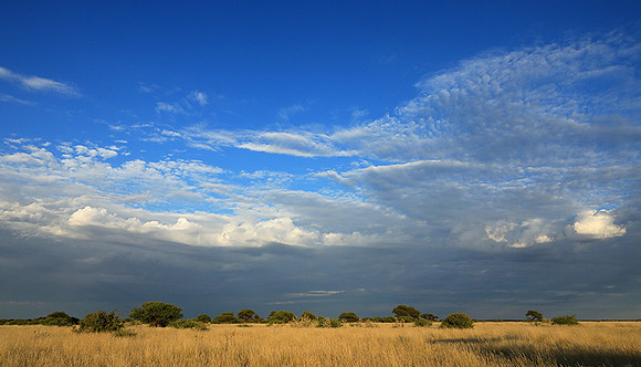 Central Kalahari