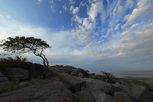 Kubu island - Makgadikgadi