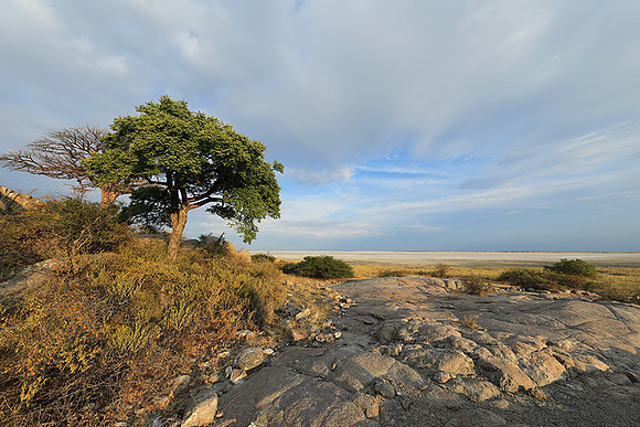 Kubu island - Makgadikgadi
