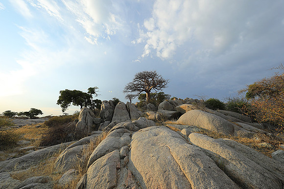 Kubu island - Makgadikgadi