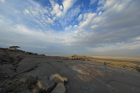 Kubu island - Makgadikgadi