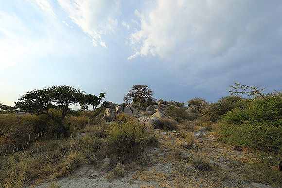 Kubu island - Makgadikgadi