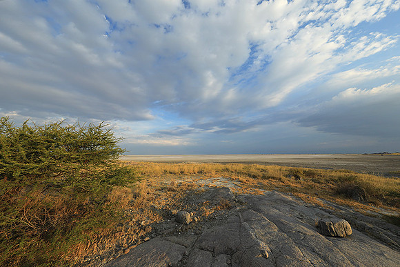 Kubu island - Makgadikgadi