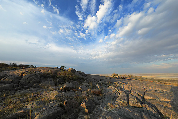 Kubu island - Makgadikgadi