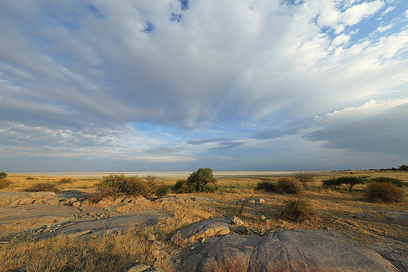 Kubu island - Makgadikgadi