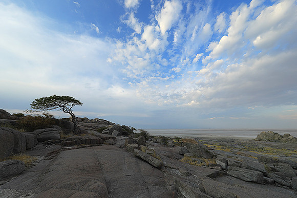Kubu island - Makgadikgadi