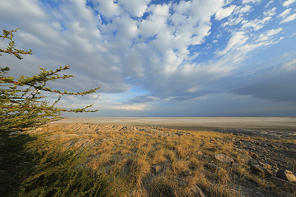 Kubu island - Makgadikgadi