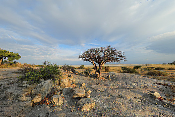 Kubu Island - Delta Okavango - Sua Pan
