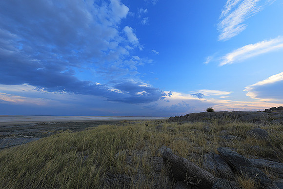 Kubu island - Makgadikgadi