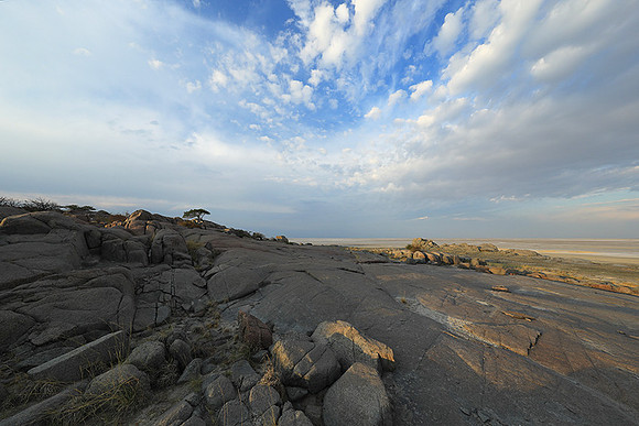 Kubu island - Makgadikgadi