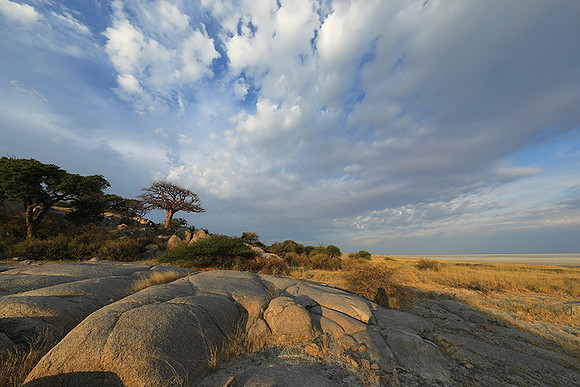 Kubu island - Makgadikgadi