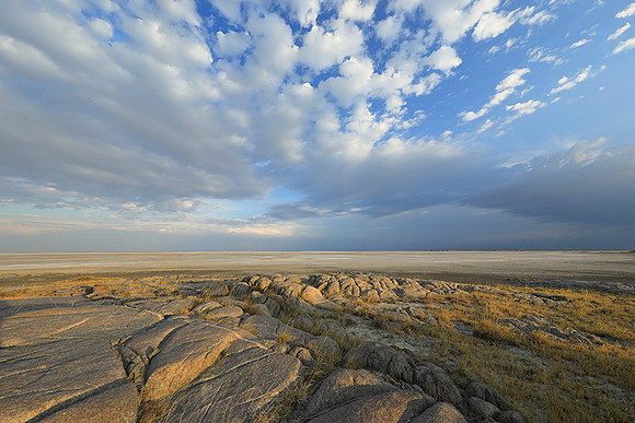 Kubu Island - Delta Okavango - Sua Pan
