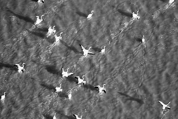 Flying over Sua pan with an heliopter