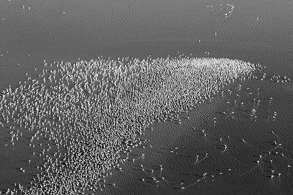 Flying over Sua pan with an heliopter